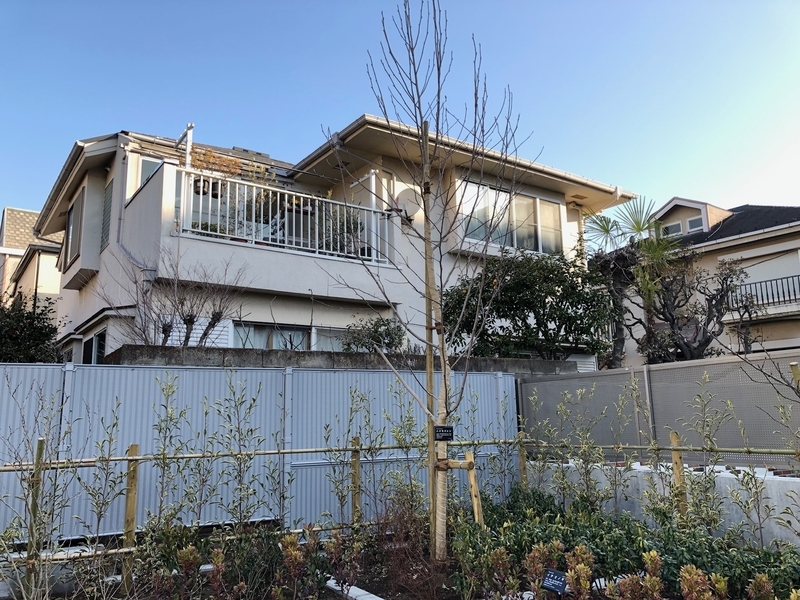 f:id:nakanocitizens:20210213201937j:plain