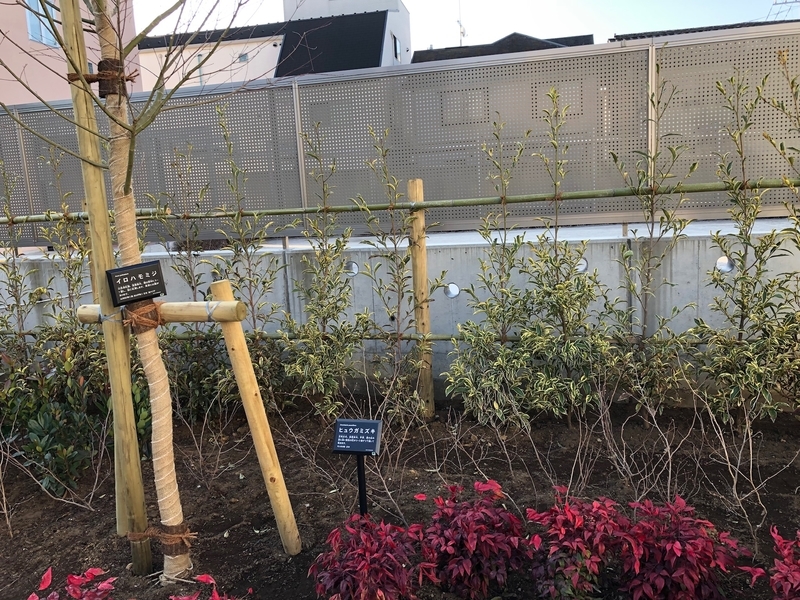 f:id:nakanocitizens:20210213202007j:plain