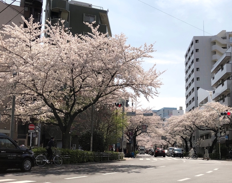 f:id:nakanocitizens:20210404235926j:plain