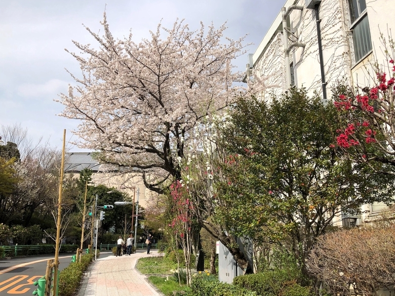 f:id:nakanocitizens:20210405013111j:plain