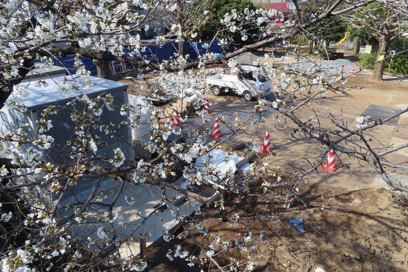 f:id:nakanocitizens:20210405015656j:plain