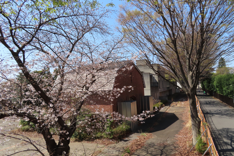 f:id:nakanocitizens:20210521001156j:plain