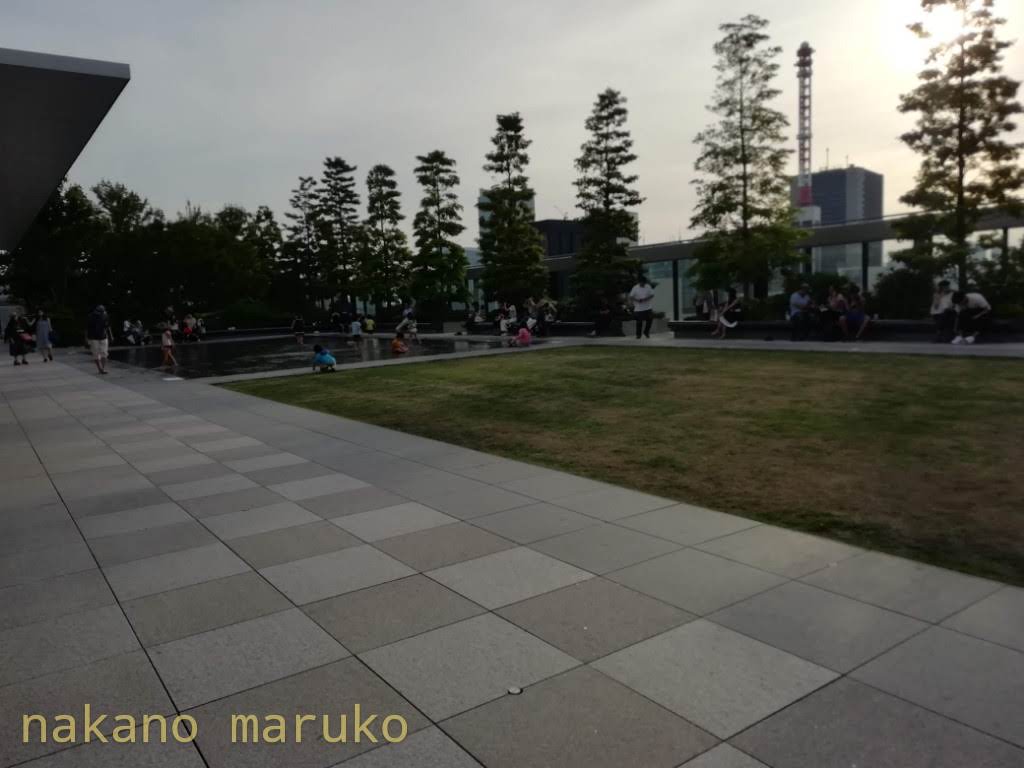 f:id:nakanomaruko:20190602202043j:plain