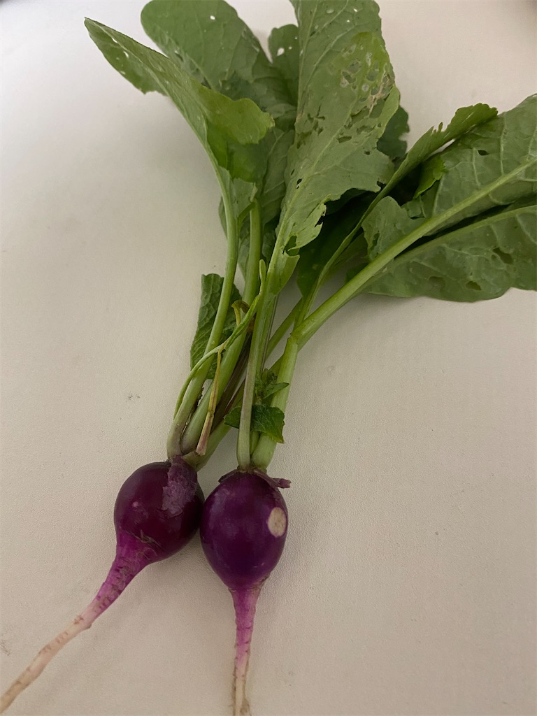 f:id:nakanomenoen:20210528203728j:image f:id:nakanomenoen:20210528203728j:image