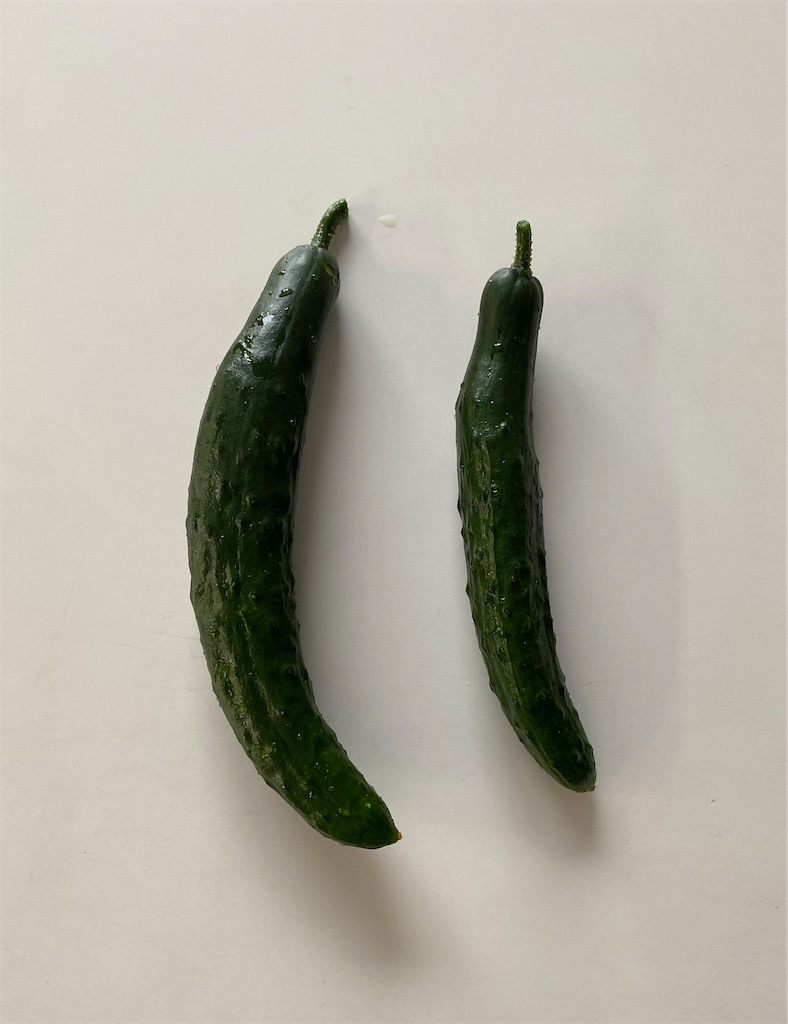 f:id:nakanomenoen:20210610182926j:image f:id:nakanomenoen:20210610182926j:image