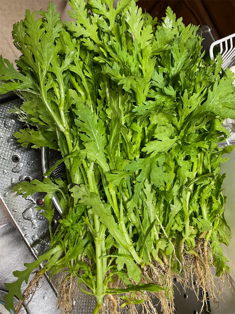 f:id:nakanomenoen:20210702185333j:image f:id:nakanomenoen:20210702185333j:image