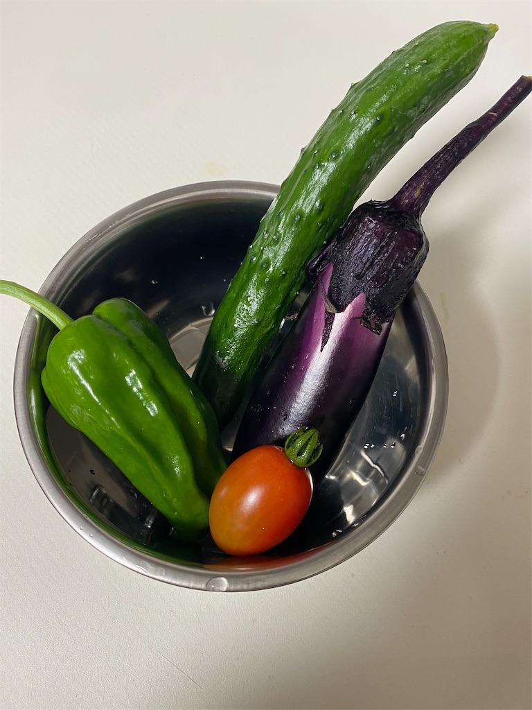 f:id:nakanomenoen:20210702190412j:image f:id:nakanomenoen:20210702190412j:image