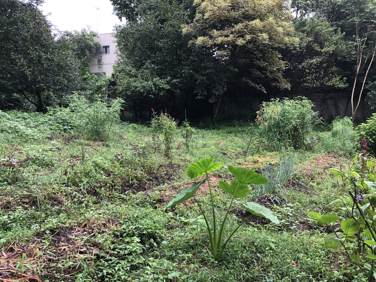 f:id:nakanomenoen:20210903210137j:plain