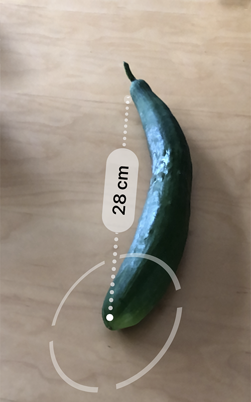 f:id:nakanomenoen:20210903210912p:plain