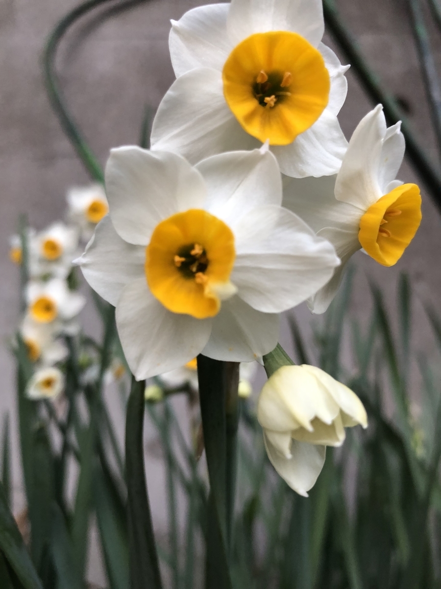 f:id:nakanomenoen:20220312211445j:plain