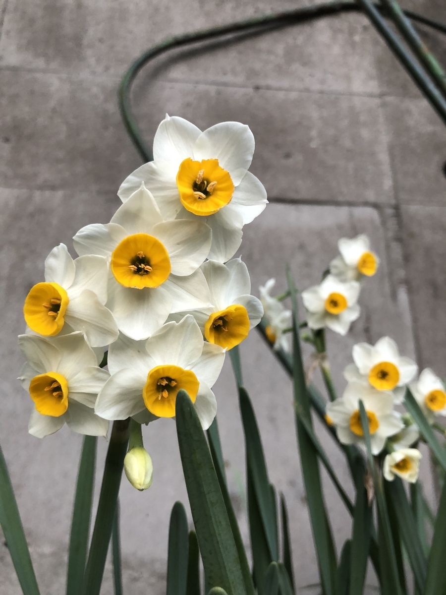 f:id:nakanomenoen:20220312211540j:plain