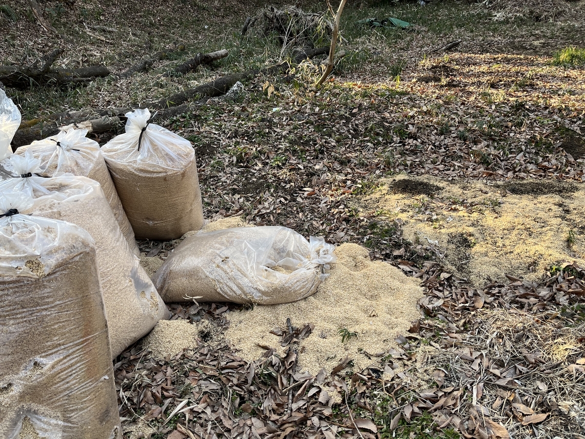 f:id:nakanomenoen:20220312221444j:plain