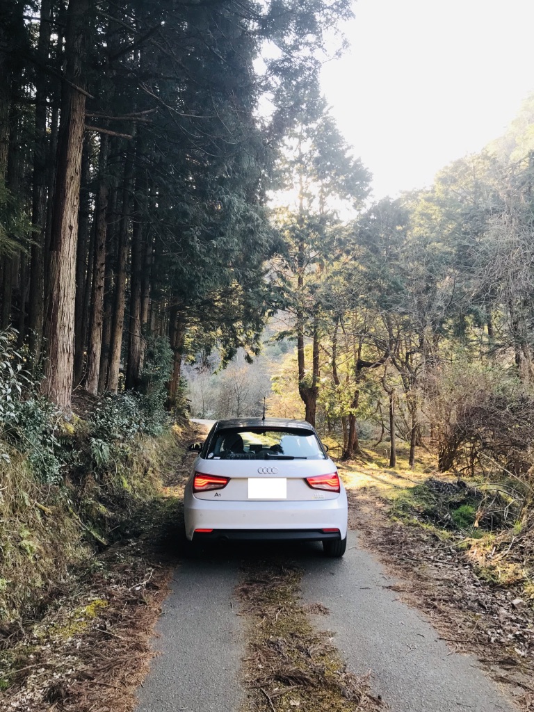 f:id:nakanooto:20190417005306j:plain f:id:nakanooto:20190417005306j:plain