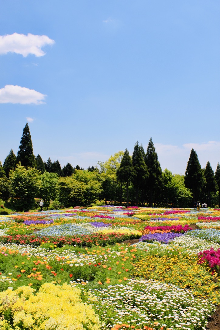 f:id:nakanooto:20190516125818j:plain f:id:nakanooto:20190516125818j:plain
