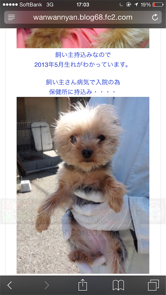 f:id:nakao1207:20180826072634p:image