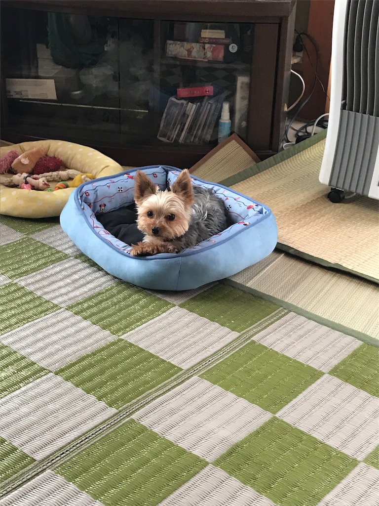 f:id:nakao1207:20180826074252j:image
