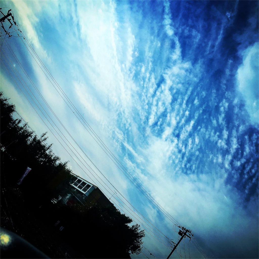 f:id:nakaoka-j:20161201204037j:image