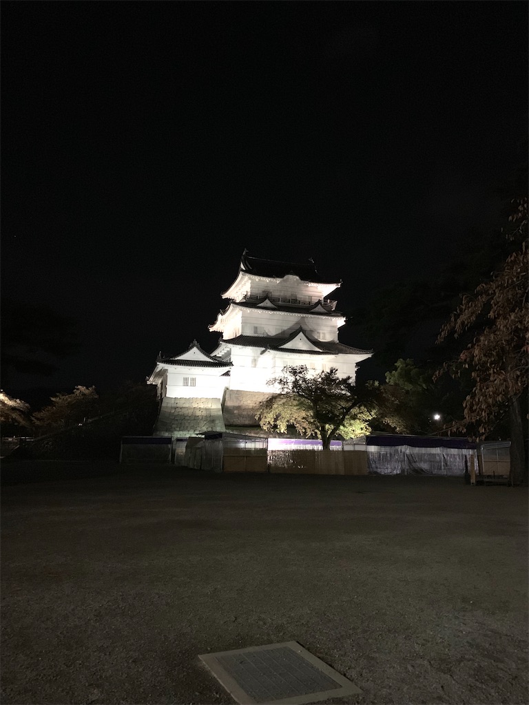 f:id:nakaparu2019:20200501174831j:image