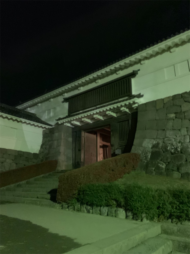 f:id:nakaparu2019:20200501174939j:image