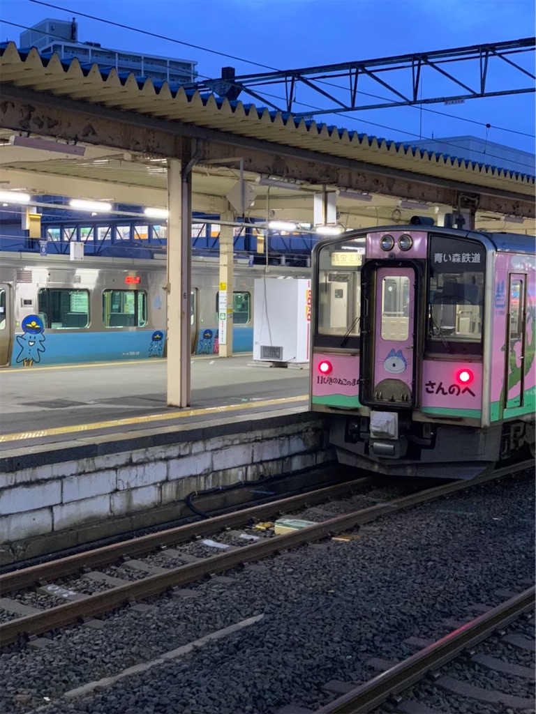 f:id:nakaparu2019:20210504222010j:image