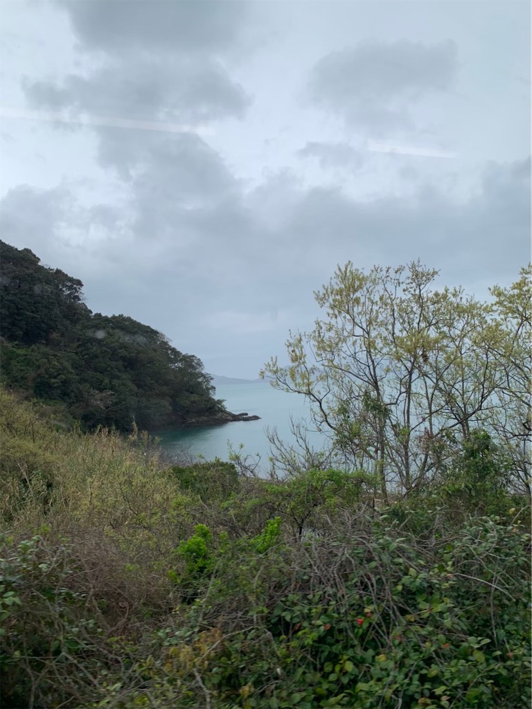 f:id:nakaparu2019:20210515182804j:image