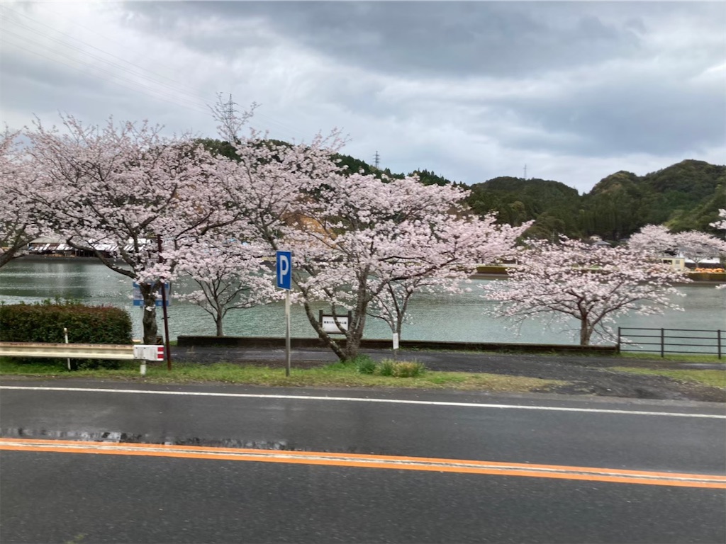 f:id:nakaparu2019:20210522230634j:image