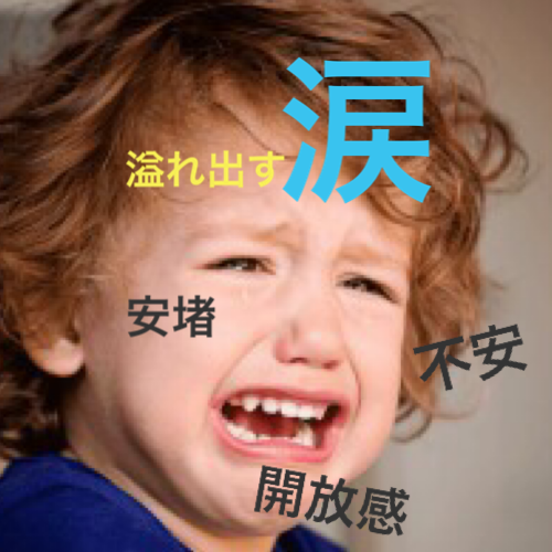 f:id:nakarablog:20200322231255p:plain