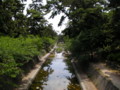 20090602121639
