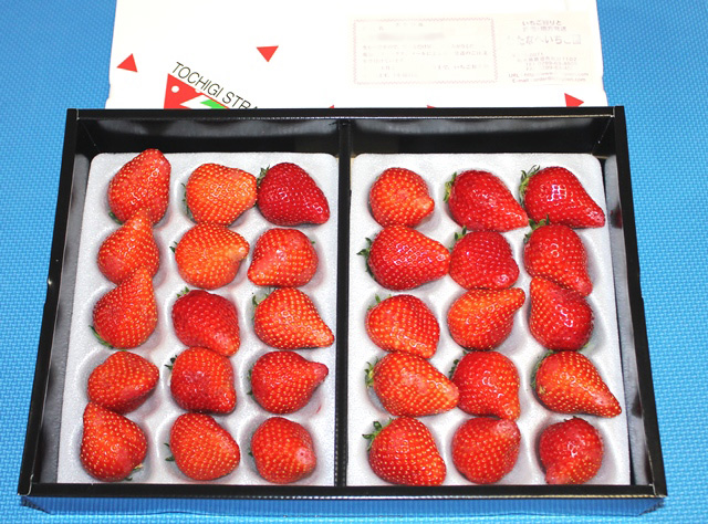 f:id:nakarin89:20190316211759j:plain f:id:nakarin89:20190316211759j:plain
