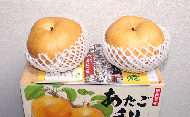 f:id:nakarin89:20191228235127j:plain f:id:nakarin89:20191228235127j:plain