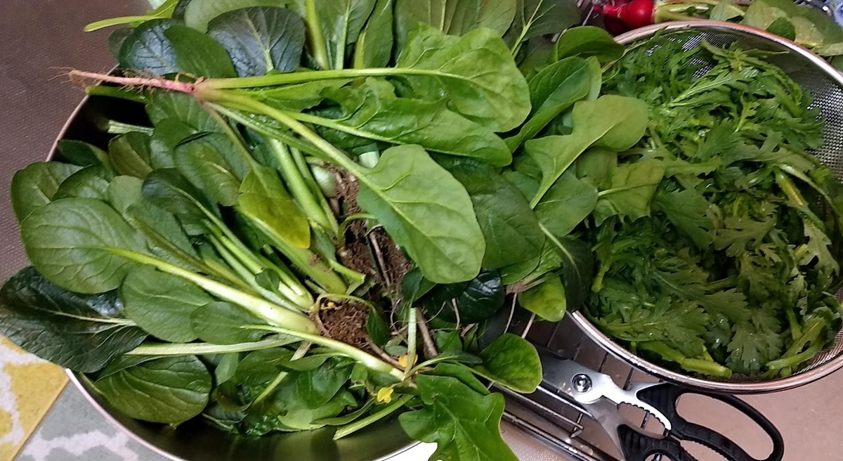 f:id:nakarobo:20200224200757j:plain f:id:nakarobo:20200224200757j:plain