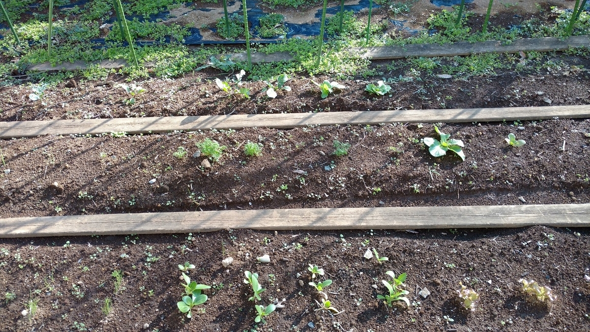 f:id:nakarobo:20200407041622j:plain f:id:nakarobo:20200407041622j:plain