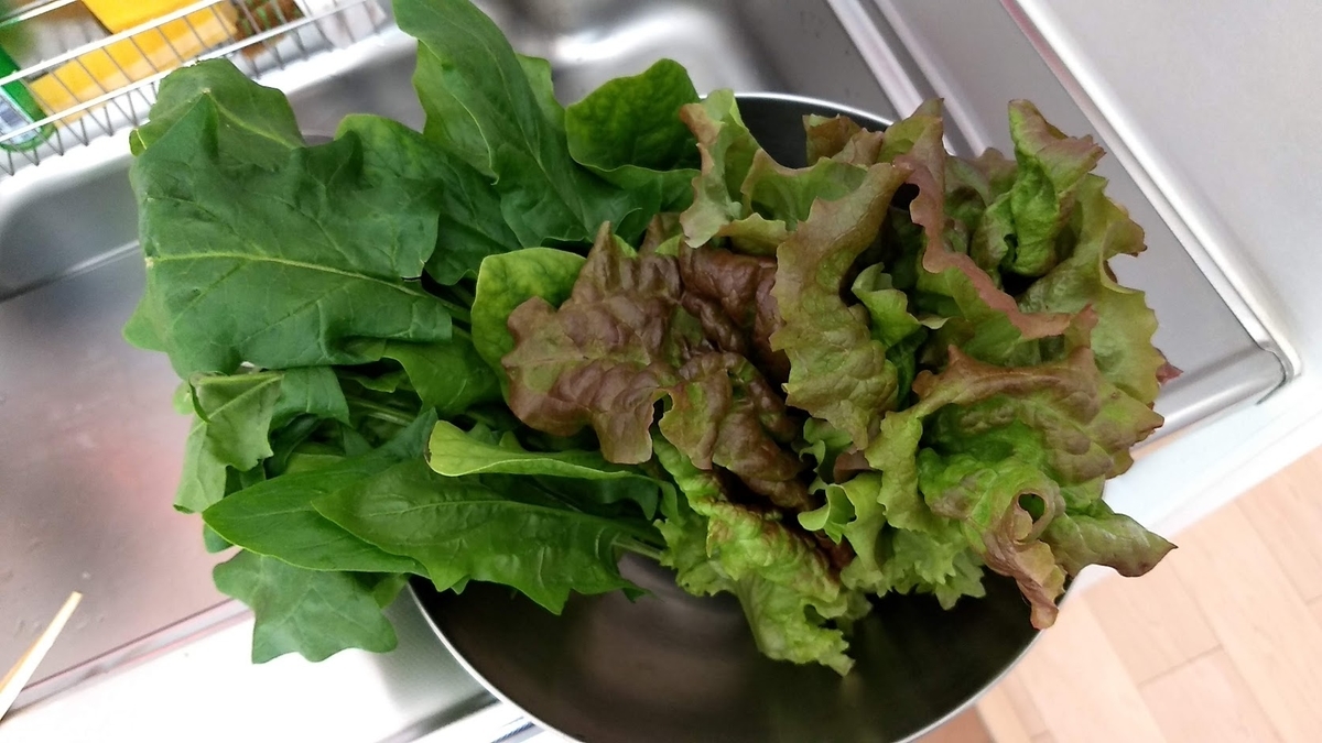 f:id:nakarobo:20200407042510j:plain f:id:nakarobo:20200407042510j:plain