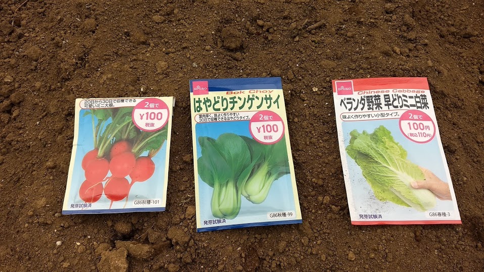 3月の種まき 直播開始 その1 横浜家庭菜園研究所 3月の種まき 直播開始 その1 横浜家庭菜園研究所
