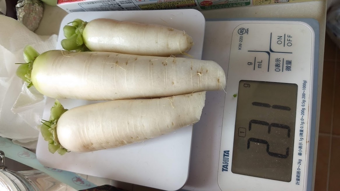 f:id:nakarobo:20210511211441j:plain