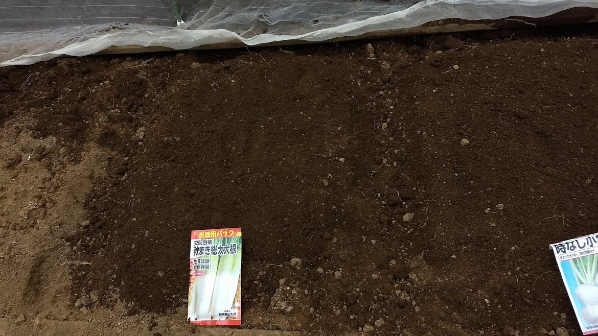 f:id:nakarobo:20210511213346j:plain