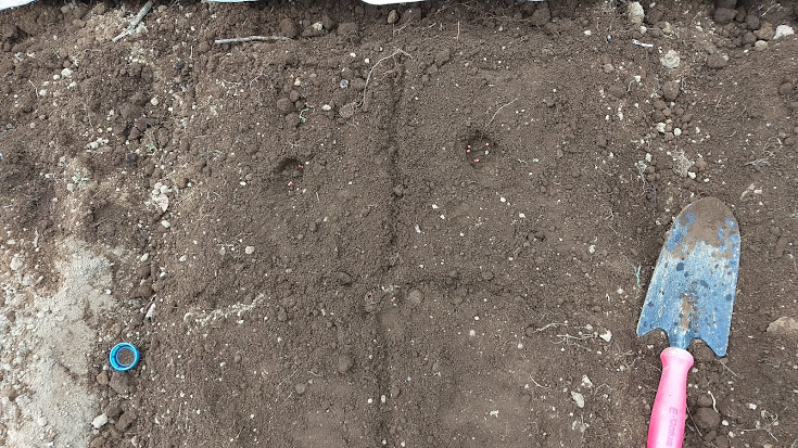 f:id:nakarobo:20210511213544j:plain