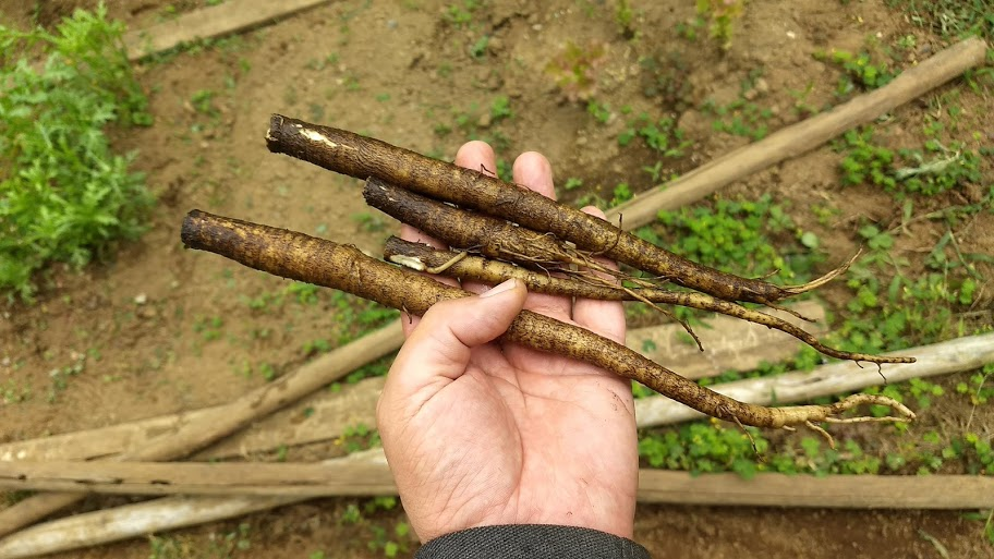 f:id:nakarobo:20210630060658p:plain