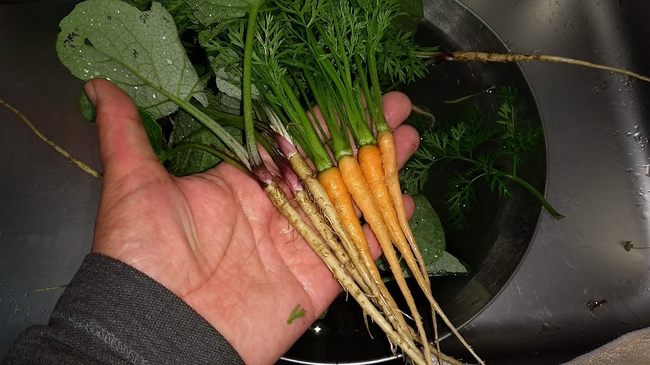 f:id:nakarobo:20210630061346p:plain