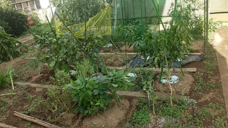 f:id:nakarobo:20210810193918j:plain