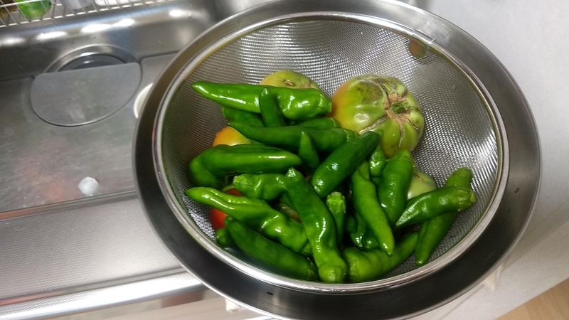 f:id:nakarobo:20210810195500j:plain