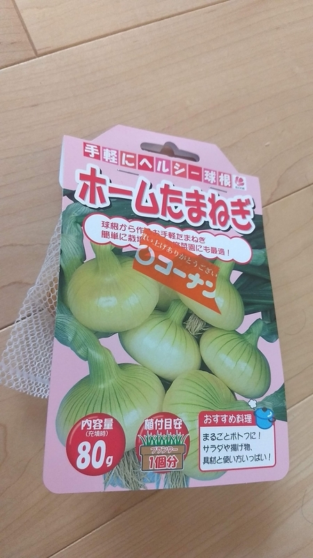 コーナンのホームたまねぎ 植えてみます 横浜家庭菜園研究所