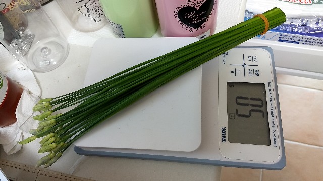 f:id:nakarobo:20210906123938j:image