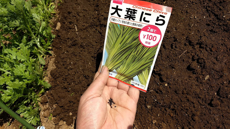 f:id:nakarobo:20211011224246p:plain