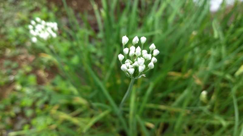 f:id:nakarobo:20211011225813j:plain