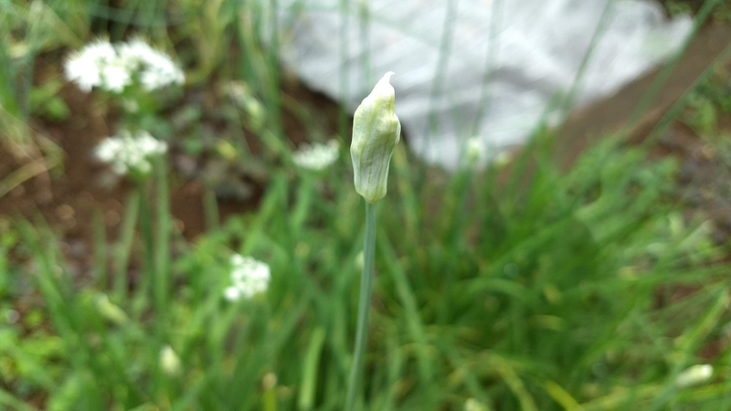 f:id:nakarobo:20211011225824j:plain