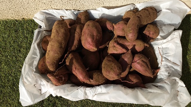 f:id:nakarobo:20211107141803j:image f:id:nakarobo:20211107141803j:image