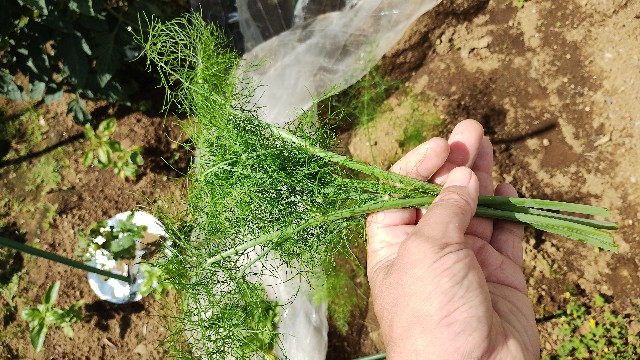 f:id:nakarobo:20240608214828j:image