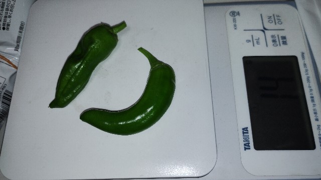 f:id:nakarobo:20240616044234j:image