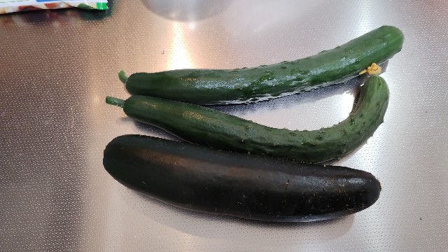 f:id:nakarobo:20240627082509j:image